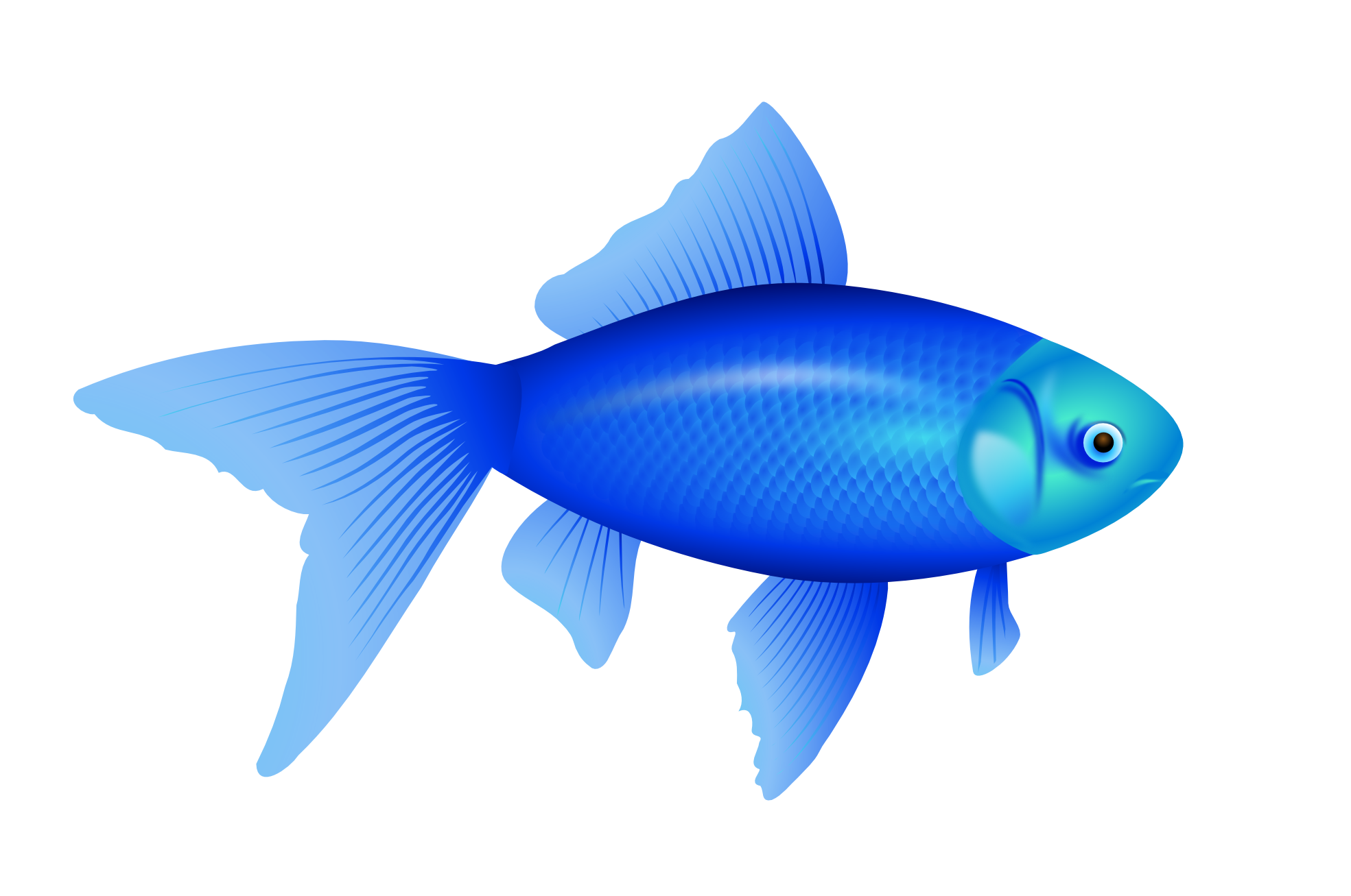 blue fish PNG image