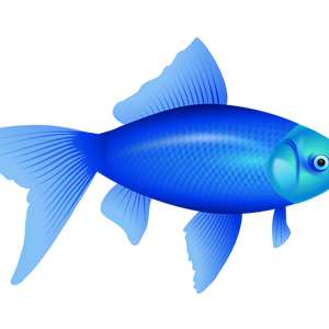 blue fish PNG image