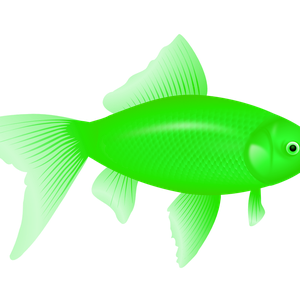 green fish PNG image