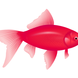 purple fish PNG image
