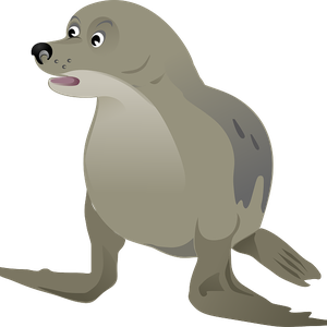 Harbor seal PNG
