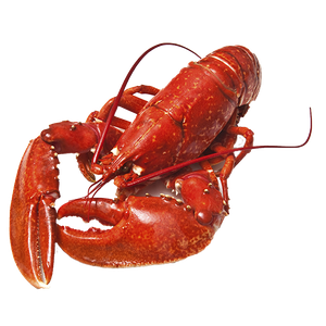 Lobster PNG