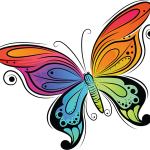 color butterfly PNG