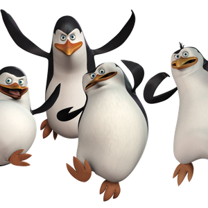 Penguins PNG image, Madagascar penguins PNG image