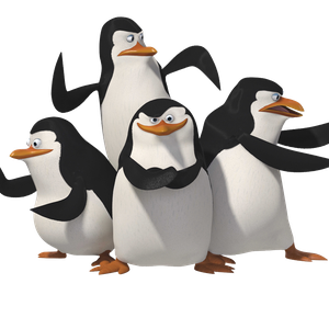 Madagascar penguins PNG image