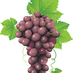 Red grape PNG image