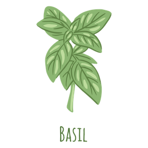 Basil PNG