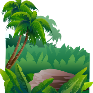 Jungle PNG